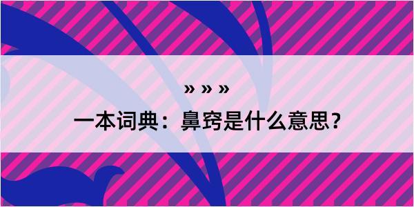 一本词典：鼻窍是什么意思？