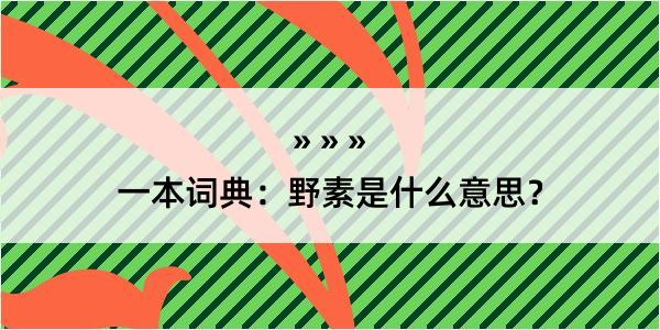 一本词典：野素是什么意思？