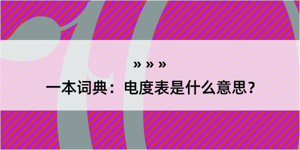 一本词典：电度表是什么意思？