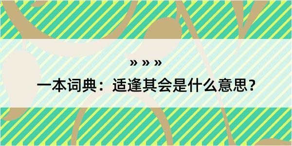 一本词典：适逢其会是什么意思？