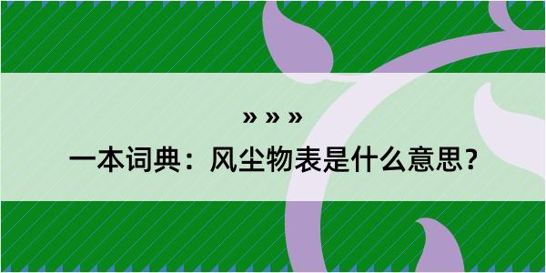 一本词典：风尘物表是什么意思？