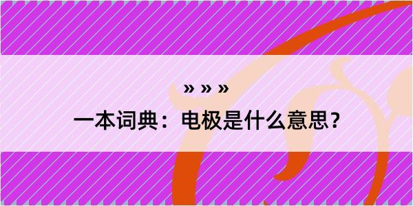 一本词典：电极是什么意思？