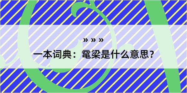 一本词典：鼋梁是什么意思？