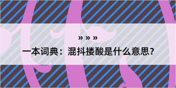 一本词典：混抖搂酸是什么意思？