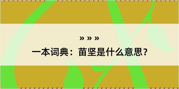 一本词典：苗坚是什么意思？