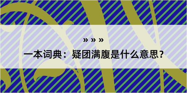 一本词典：疑团满腹是什么意思？