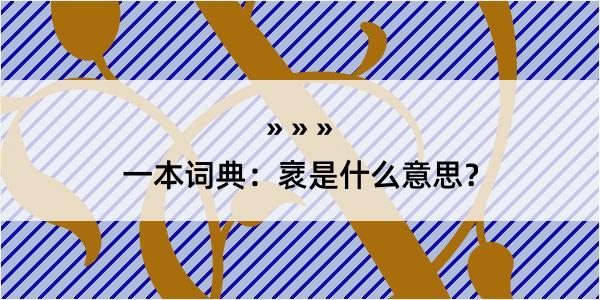 一本词典：衺是什么意思？