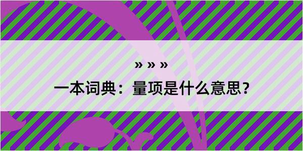 一本词典：量项是什么意思？