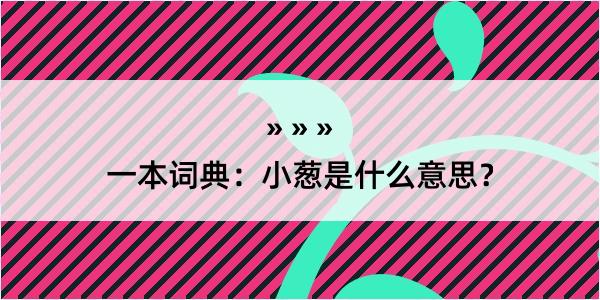 一本词典：小葱是什么意思？