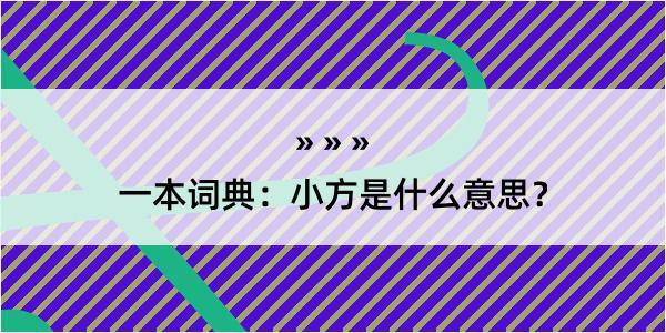 一本词典：小方是什么意思？