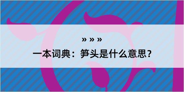 一本词典：笋头是什么意思？