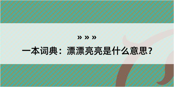 一本词典：漂漂亮亮是什么意思？