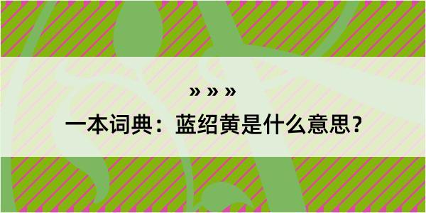 一本词典：蓝绍黄是什么意思？