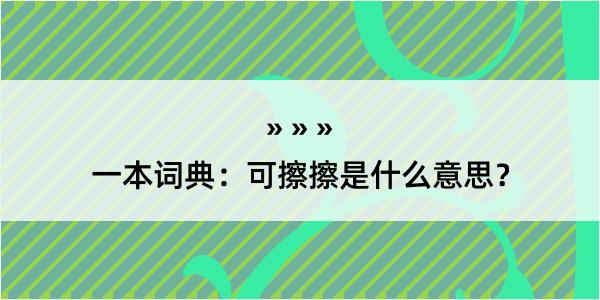 一本词典：可擦擦是什么意思？