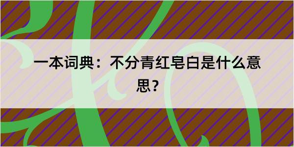 一本词典：不分青红皂白是什么意思？