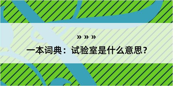 一本词典：试验室是什么意思？