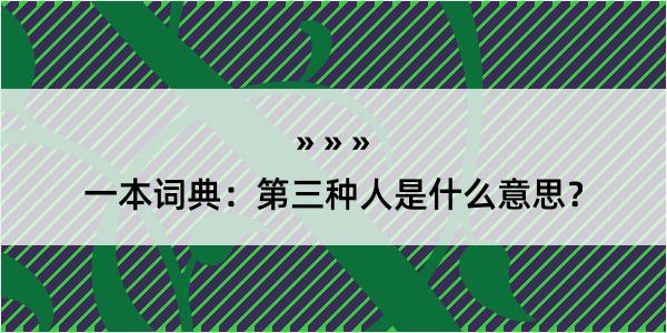 一本词典：第三种人是什么意思？