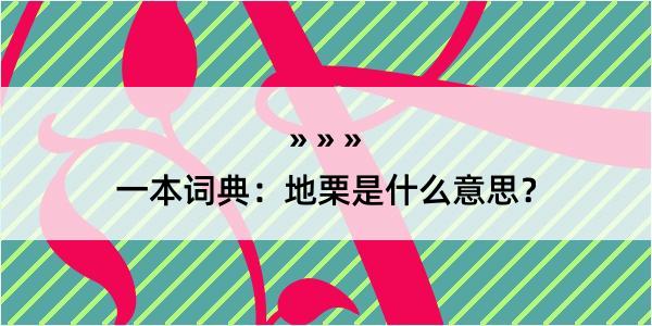 一本词典：地栗是什么意思？