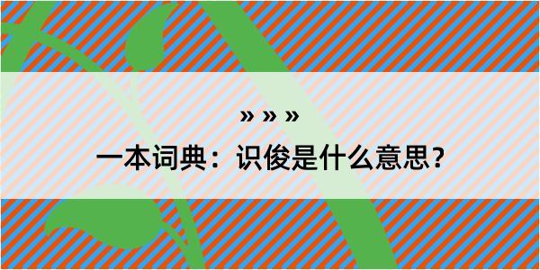 一本词典：识俊是什么意思？