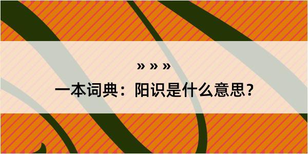 一本词典：阳识是什么意思？