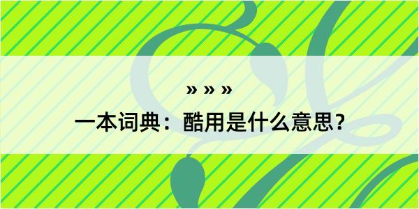 一本词典：酷用是什么意思？