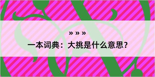 一本词典：大挑是什么意思？