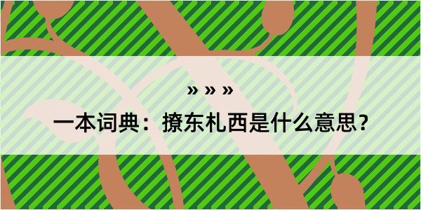 一本词典：撩东札西是什么意思？