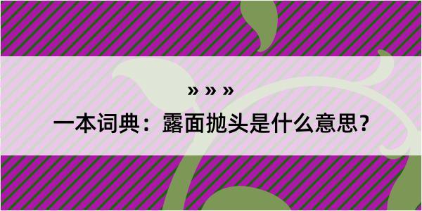 一本词典：露面抛头是什么意思？