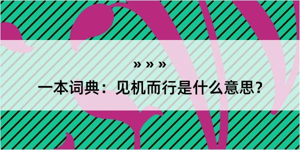 一本词典：见机而行是什么意思？