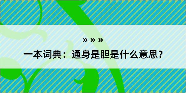 一本词典：通身是胆是什么意思？