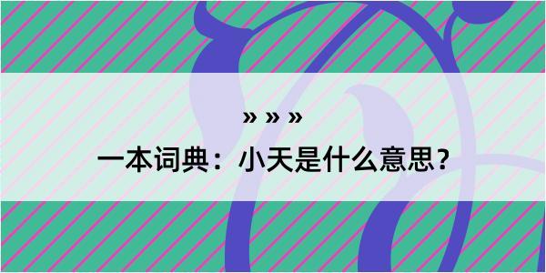 一本词典：小天是什么意思？