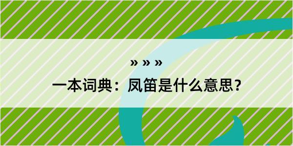 一本词典：凤笛是什么意思？