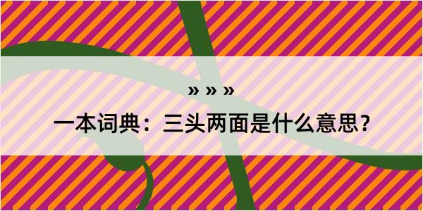 一本词典：三头两面是什么意思？