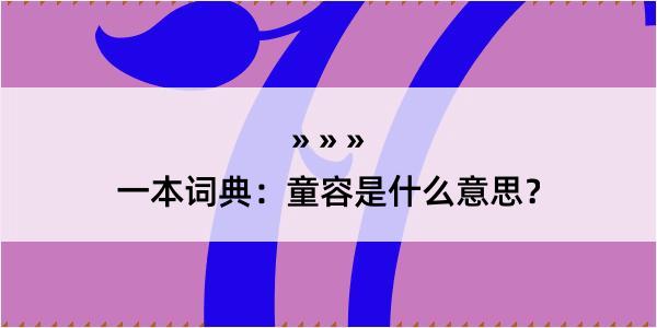 一本词典：童容是什么意思？