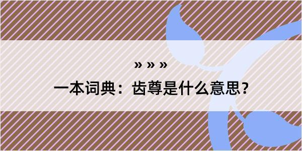 一本词典：齿尊是什么意思？