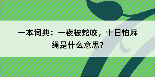 一本词典：一夜被蛇咬，十日怕麻绳是什么意思？