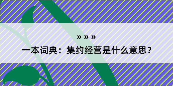 一本词典：集约经营是什么意思？