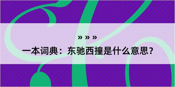 一本词典：东驰西撞是什么意思？