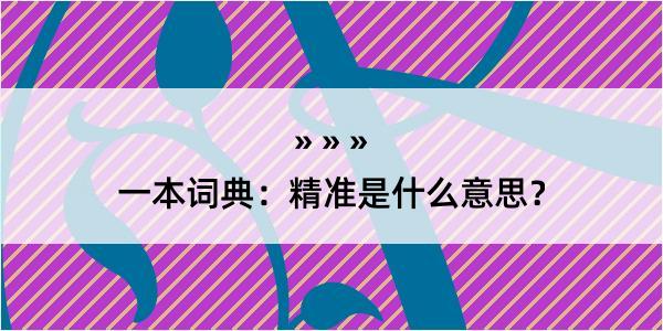 一本词典：精准是什么意思？