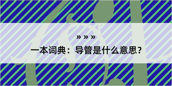 一本词典：导管是什么意思？