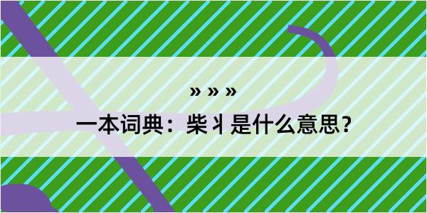 一本词典：柴丬是什么意思？