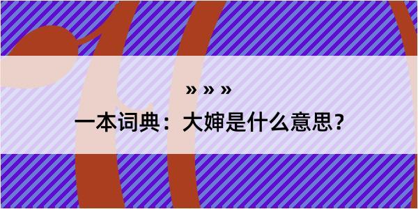 一本词典：大婶是什么意思？