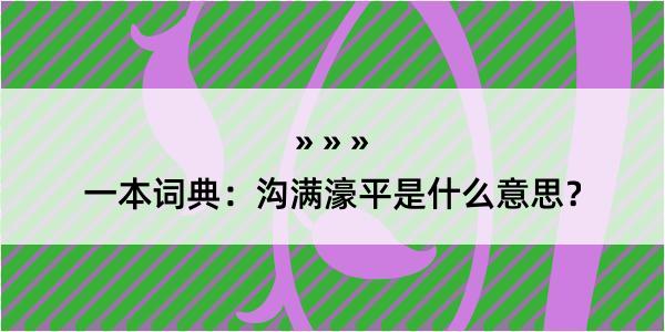 一本词典：沟满濠平是什么意思？