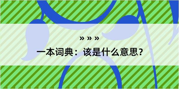 一本词典：该是什么意思？