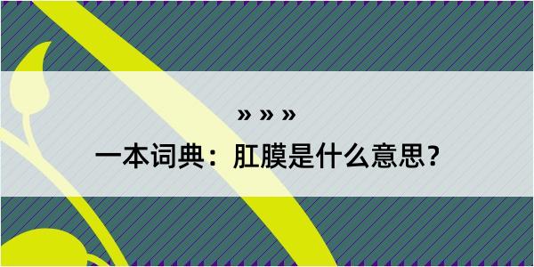 一本词典：肛膜是什么意思？