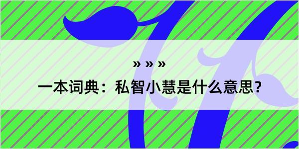 一本词典：私智小慧是什么意思？