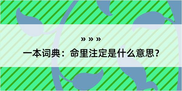 一本词典：命里注定是什么意思？