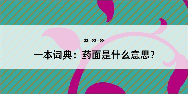 一本词典：药面是什么意思？