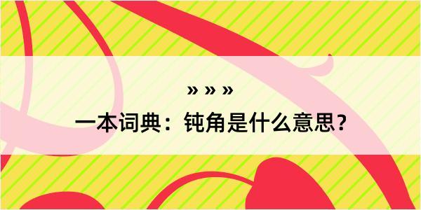 一本词典：钝角是什么意思？