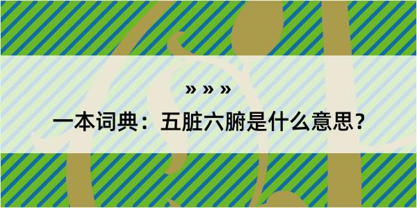 一本词典：五脏六腑是什么意思？